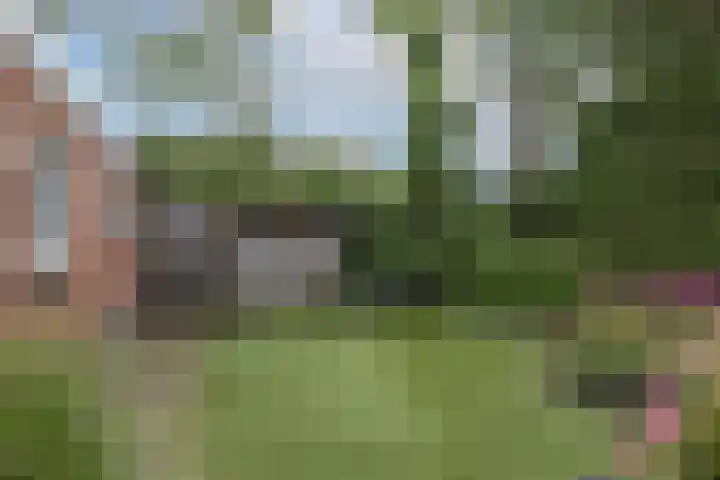 de Karekiet 14 Denekamp thumbnail 30