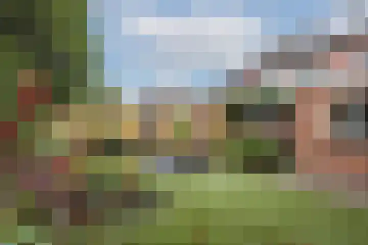 de Karekiet 14 Denekamp thumbnail 31