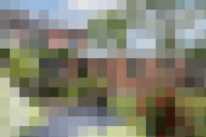 de Karekiet 14 Denekamp thumbnail 32