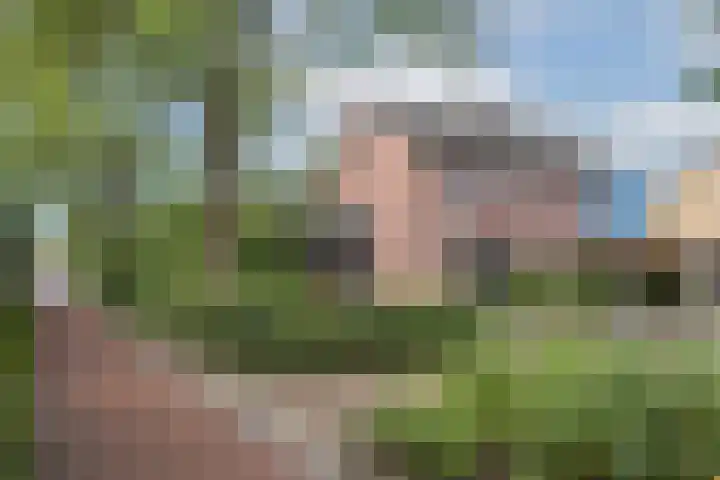 de Karekiet 14 Denekamp thumbnail 33