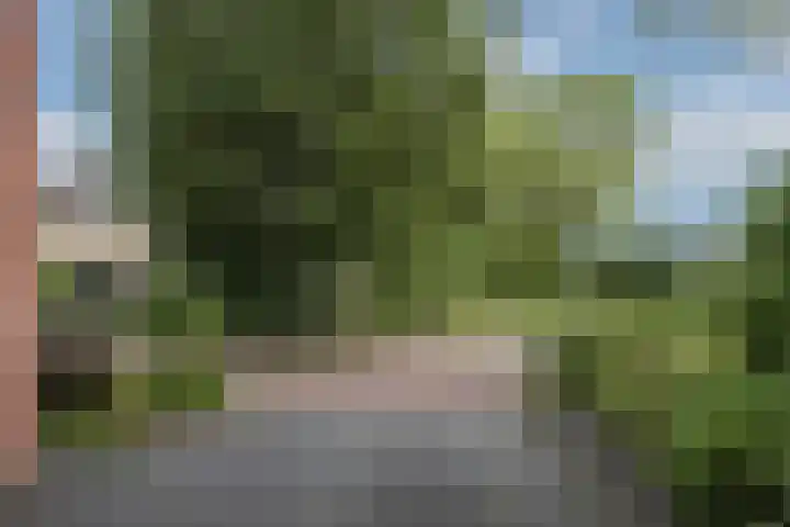 de Karekiet 14 Denekamp thumbnail 34