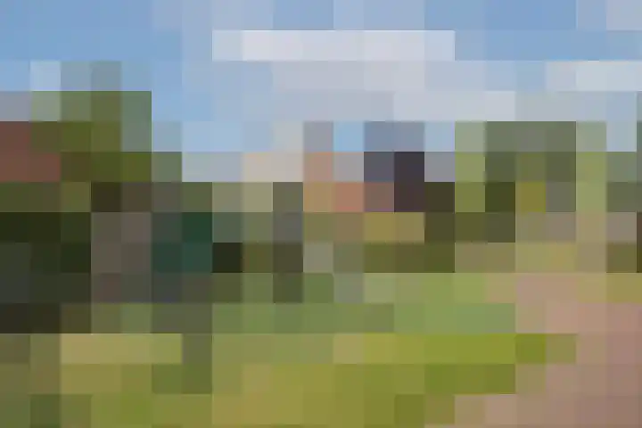 de Karekiet 14 Denekamp thumbnail 35