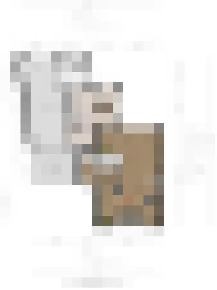 de Karekiet 14 Denekamp thumbnail 36