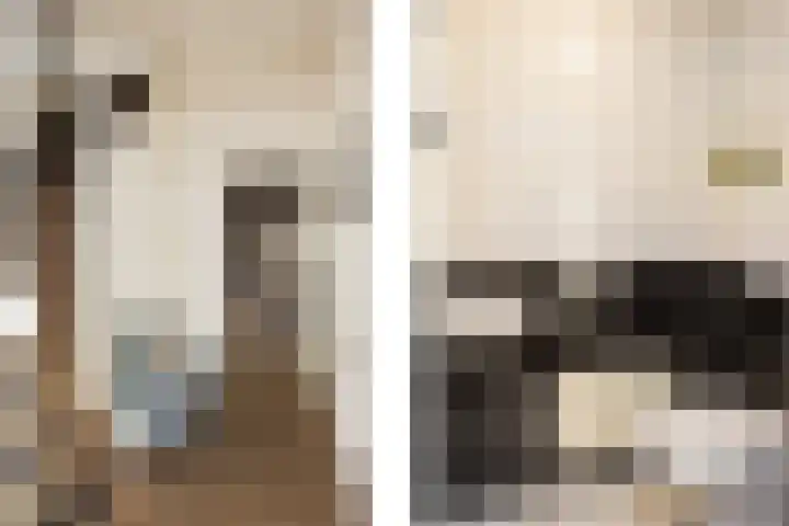 de Karekiet 14 Denekamp thumbnail 4