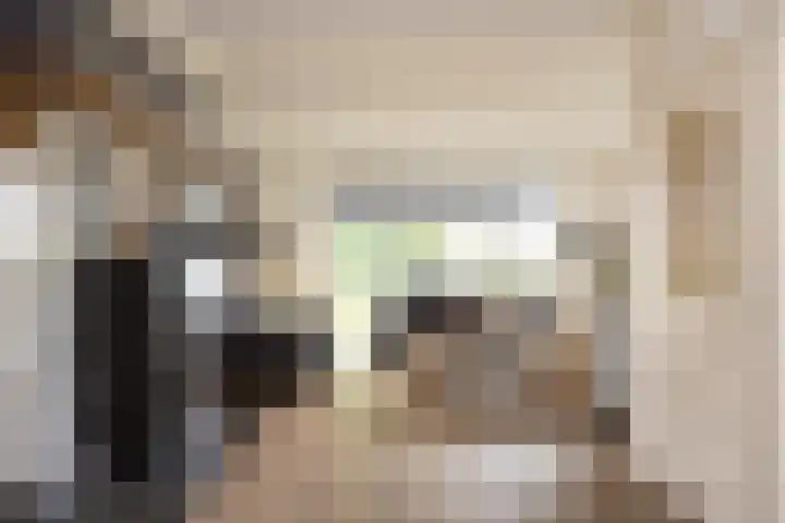 de Karekiet 14 Denekamp thumbnail 5