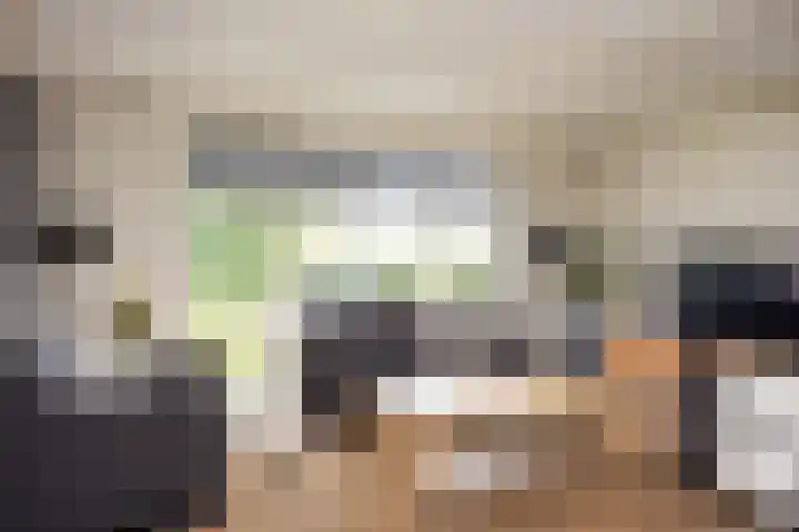 de Karekiet 14 Denekamp thumbnail 6