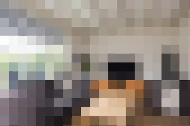 de Karekiet 14 Denekamp thumbnail 7