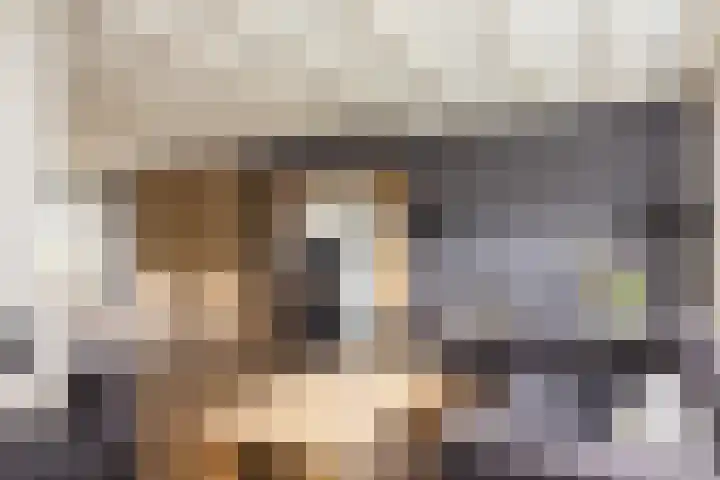 de Karekiet 14 Denekamp thumbnail 8