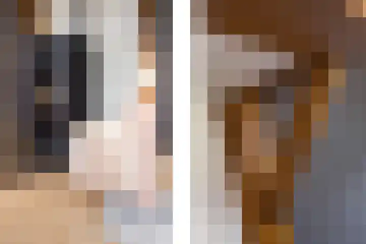de Karekiet 14 Denekamp thumbnail 9