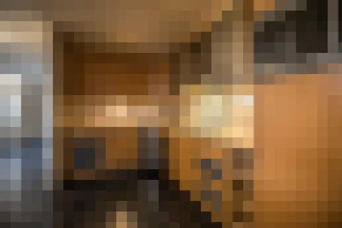 De Karekiet 2 Almelo thumbnail 14