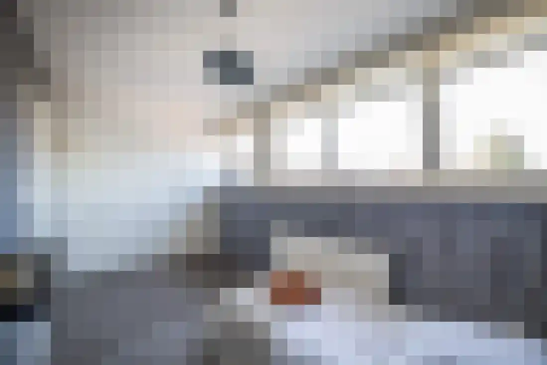 De Karekiet 2 Almelo thumbnail 20