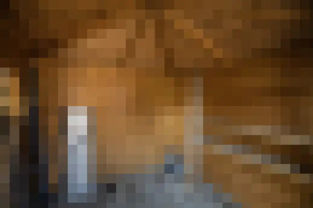 De Karekiet 2 Almelo thumbnail 31