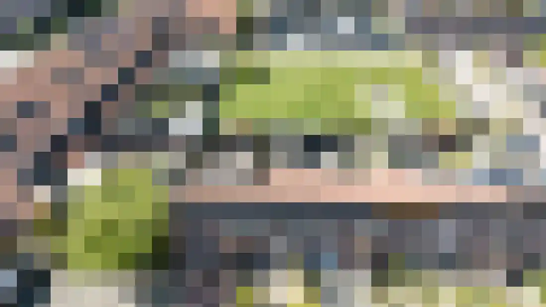 De Karekiet 2 Almelo thumbnail 34