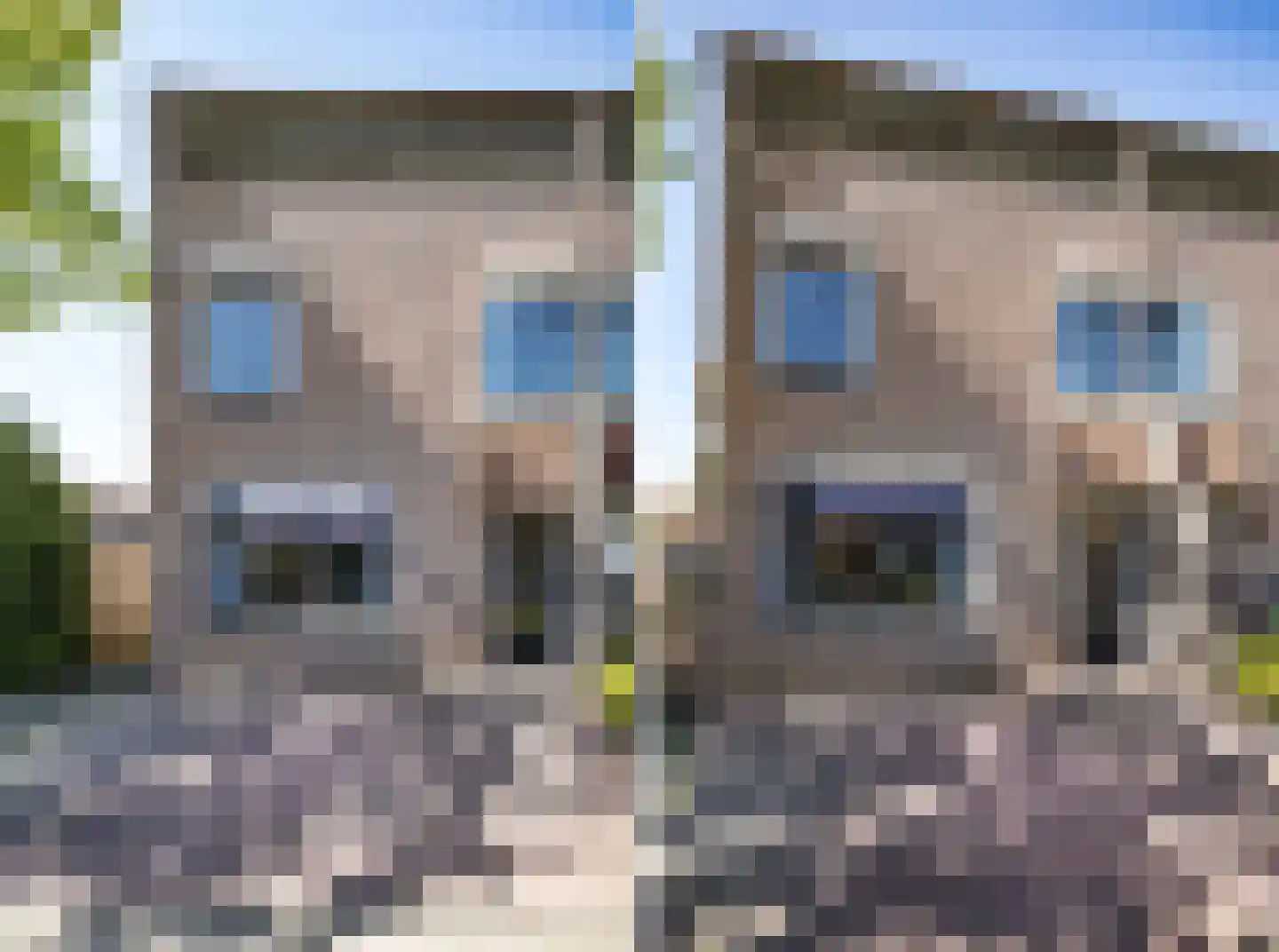 De Karekiet 2 Almelo thumbnail 5