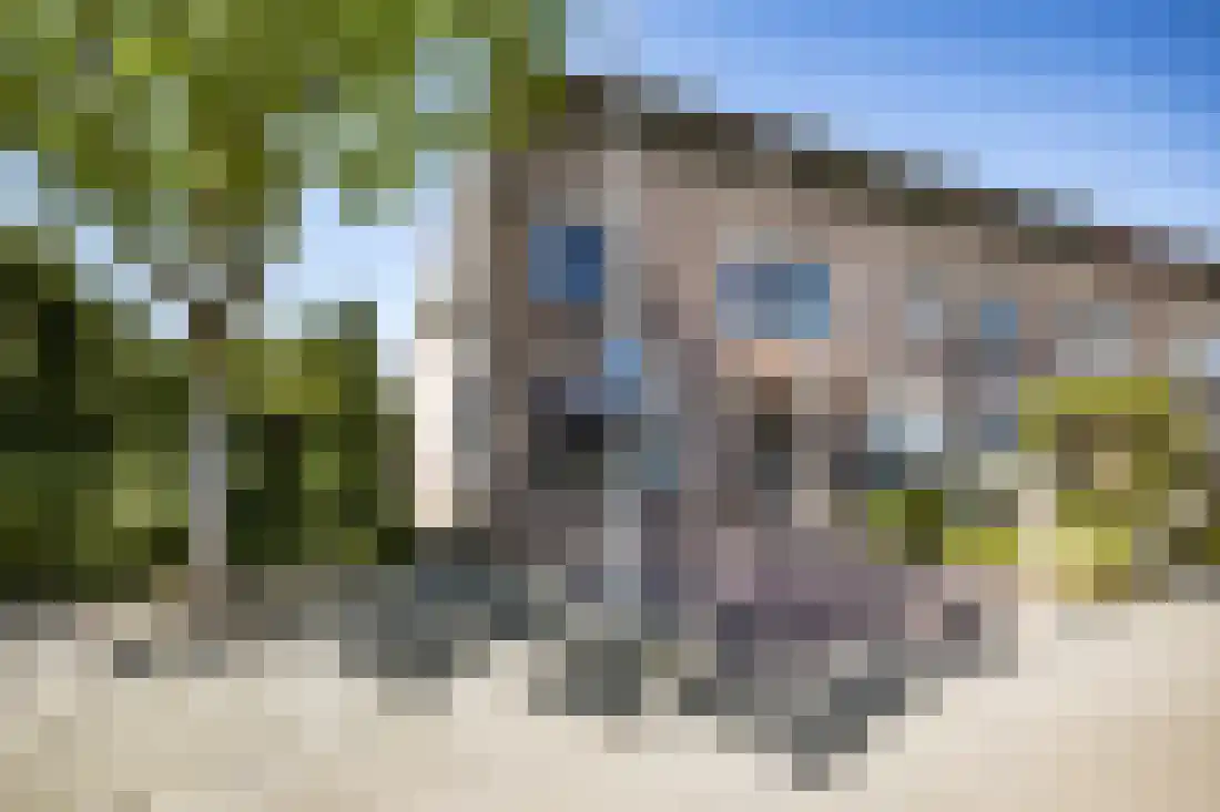 De Karekiet 2 Almelo thumbnail 6