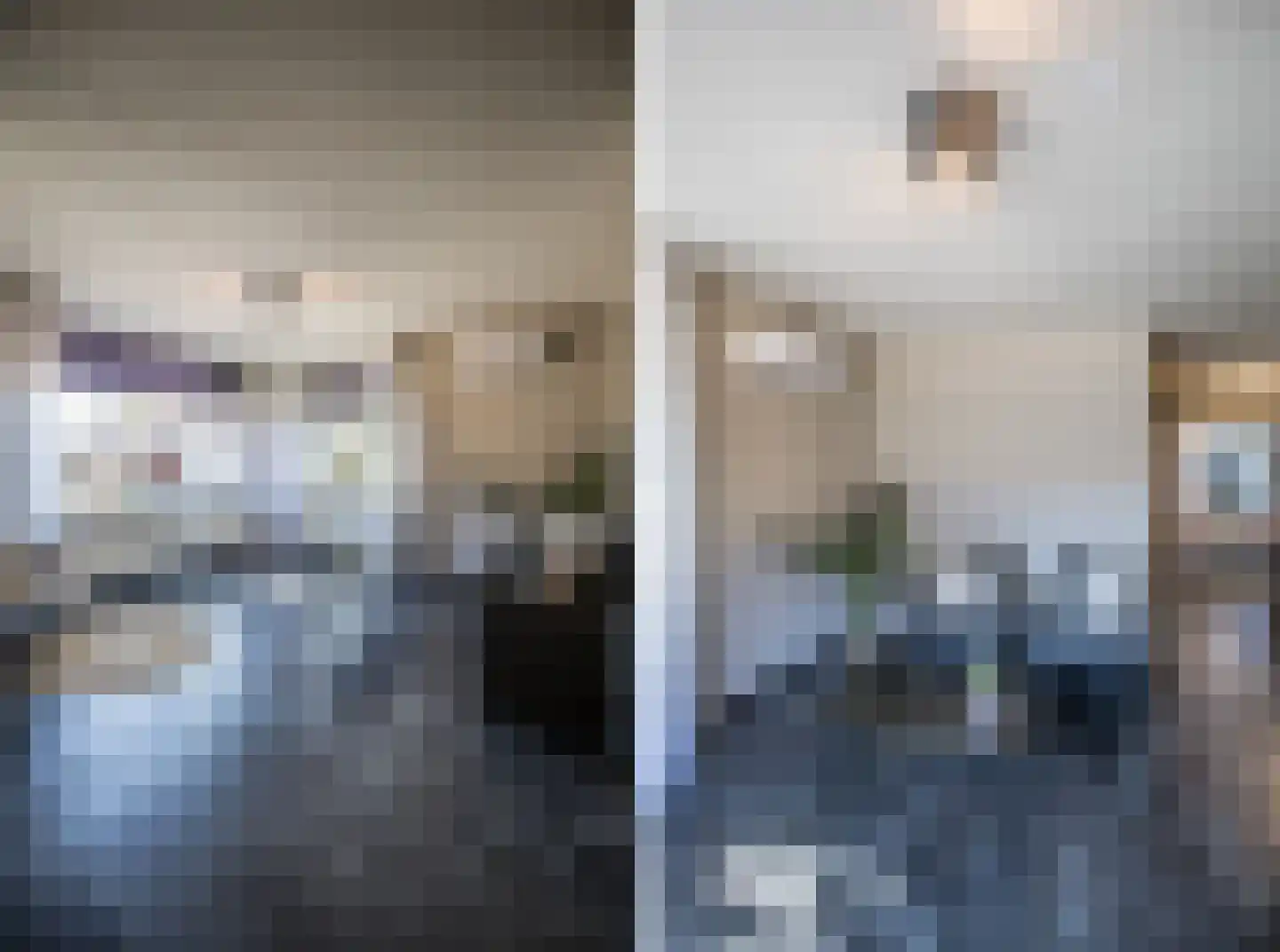 De Karekiet 2 Almelo thumbnail 8