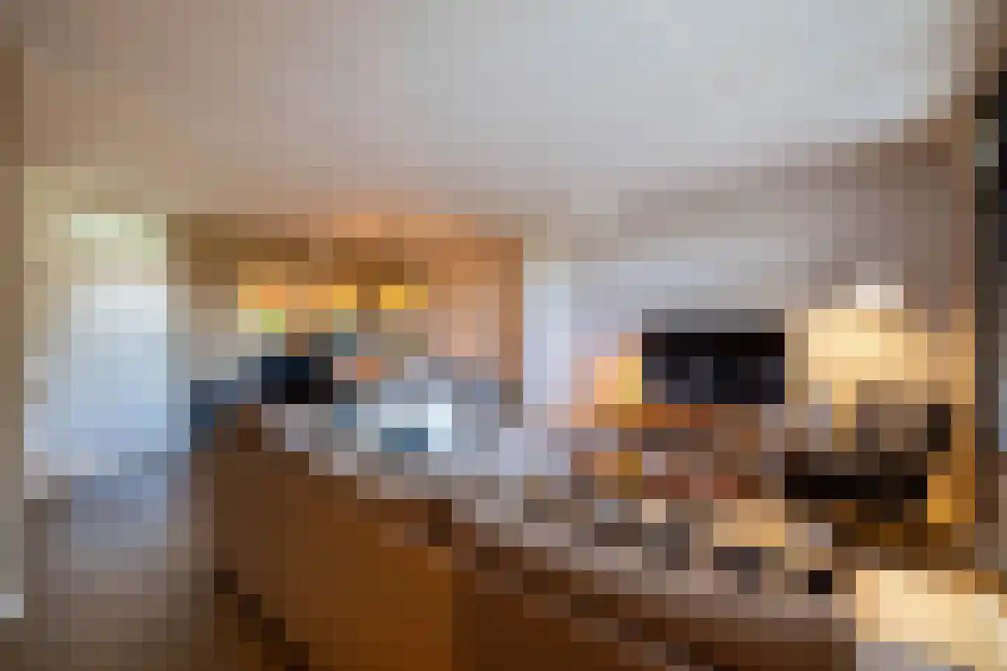De Karekiet 23 Almelo thumbnail 12
