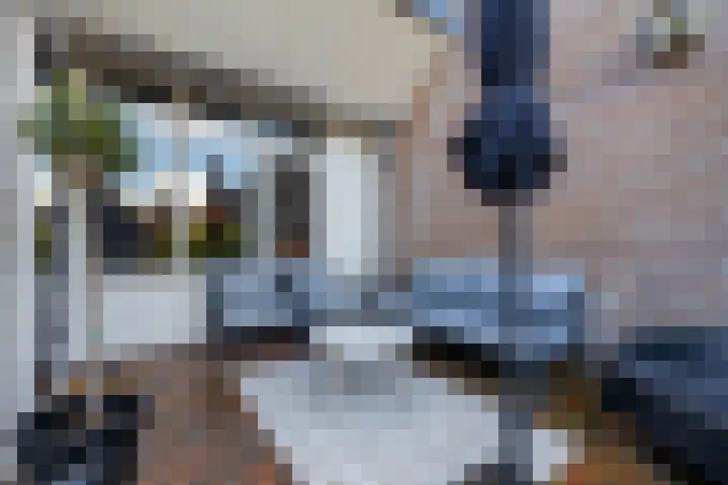 De Karekiet 23 Almelo thumbnail 20