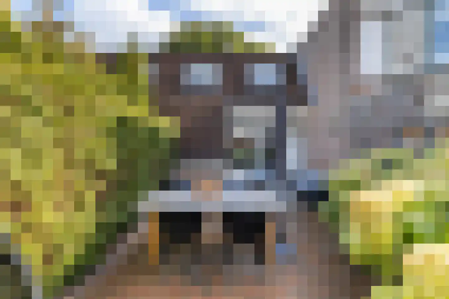 De Karekiet 23 Almelo thumbnail 23
