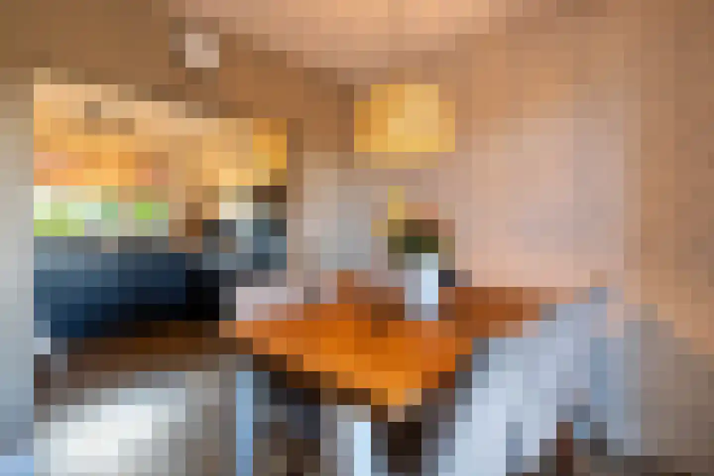De Karekiet 23 Almelo thumbnail 4