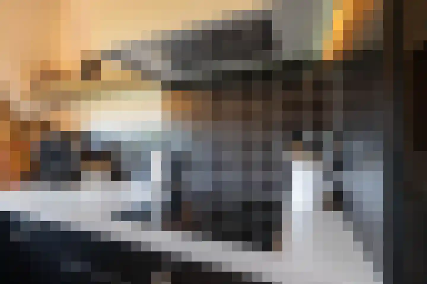 De Karekiet 23 Almelo thumbnail 9