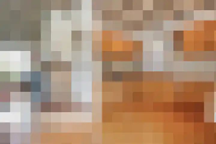de Karekiet 24 Denekamp thumbnail 10