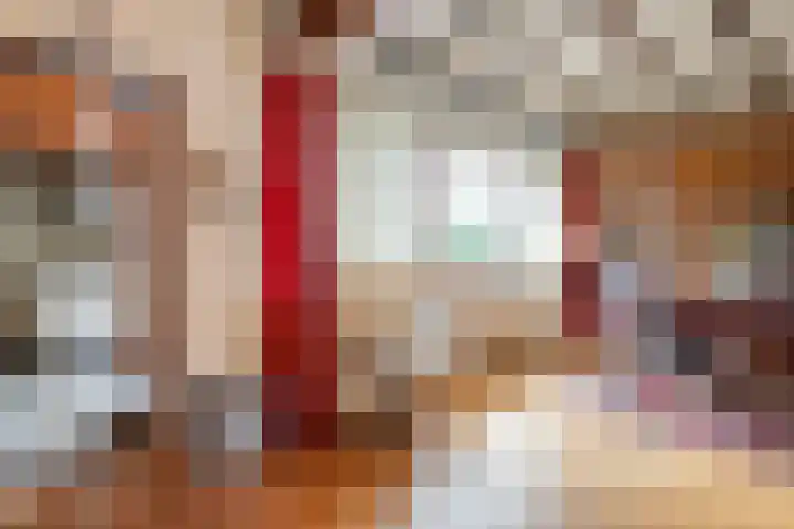 de Karekiet 24 Denekamp thumbnail 13