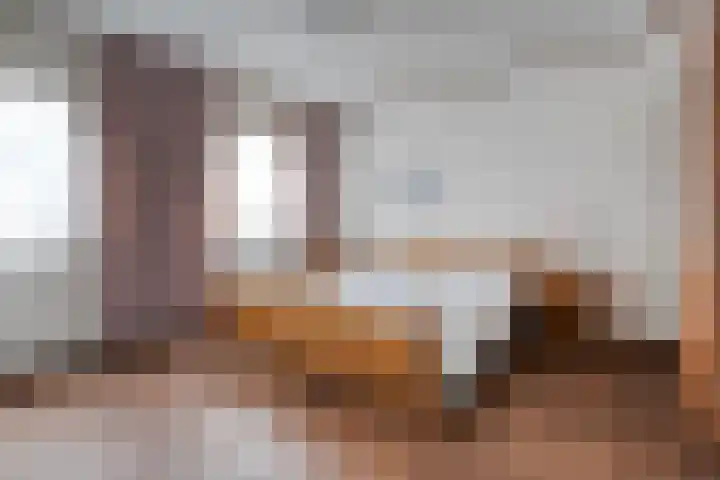 de Karekiet 24 Denekamp thumbnail 17
