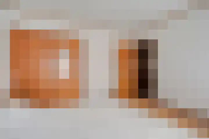 de Karekiet 24 Denekamp thumbnail 18