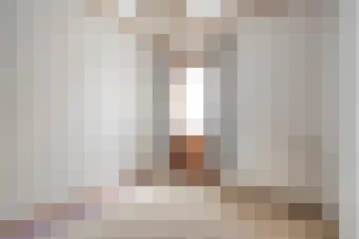 de Karekiet 24 Denekamp thumbnail 20