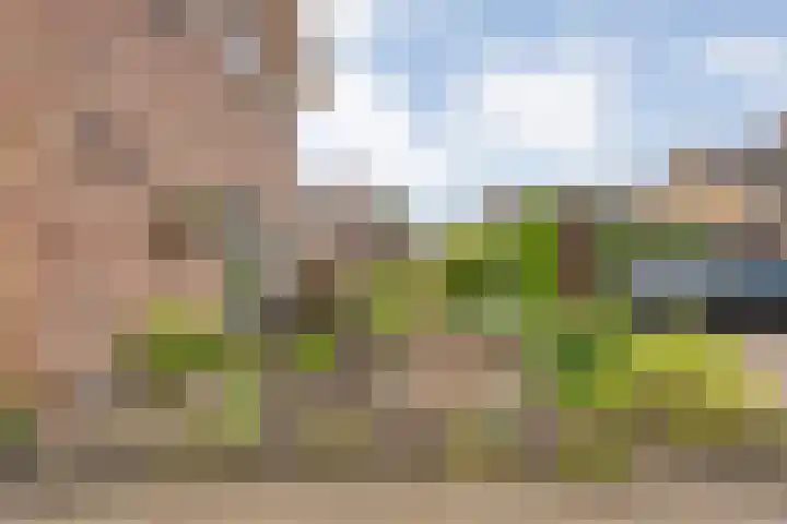 de Karekiet 24 Denekamp thumbnail 22