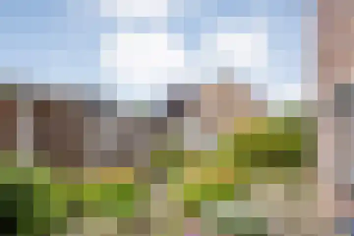 de Karekiet 24 Denekamp thumbnail 23