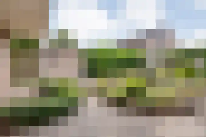 de Karekiet 24 Denekamp thumbnail 25
