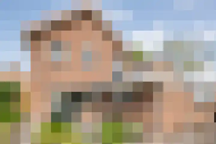 de Karekiet 24 Denekamp thumbnail 26