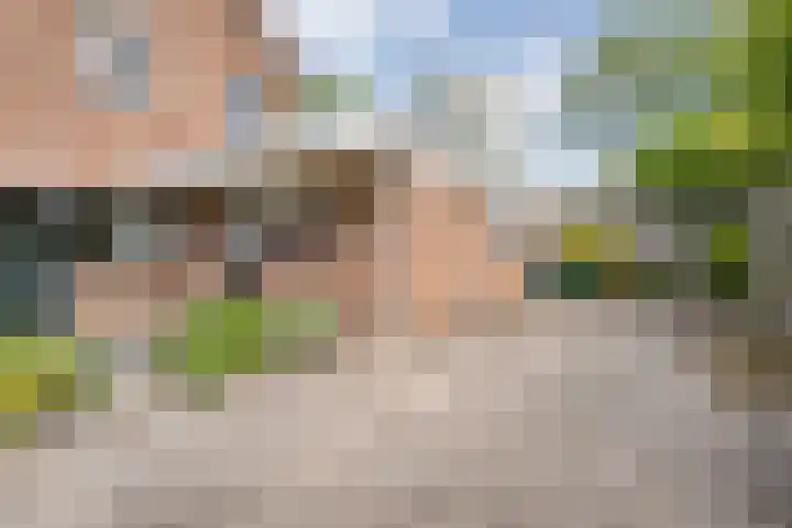 de Karekiet 24 Denekamp thumbnail 27