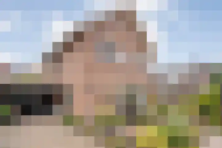de Karekiet 24 Denekamp thumbnail 28