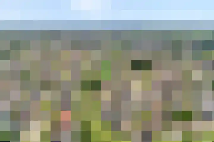 de Karekiet 24 Denekamp thumbnail 29