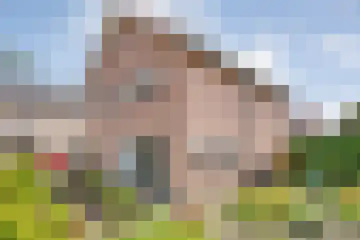 de Karekiet 24 Denekamp thumbnail 4