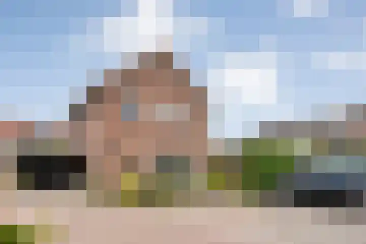de Karekiet 24 Denekamp thumbnail 5