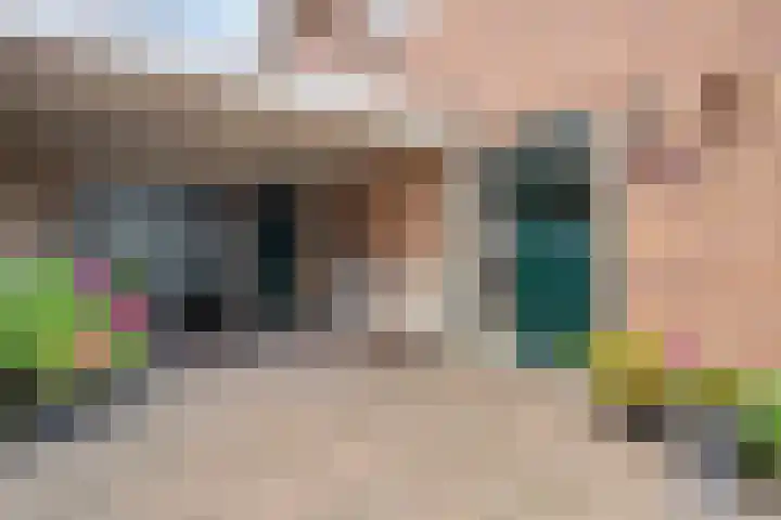 de Karekiet 24 Denekamp thumbnail 6