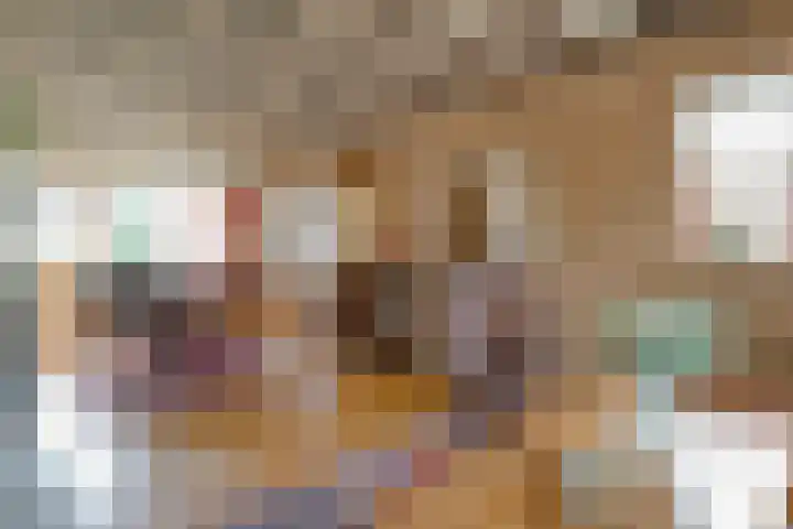 de Karekiet 24 Denekamp thumbnail 7