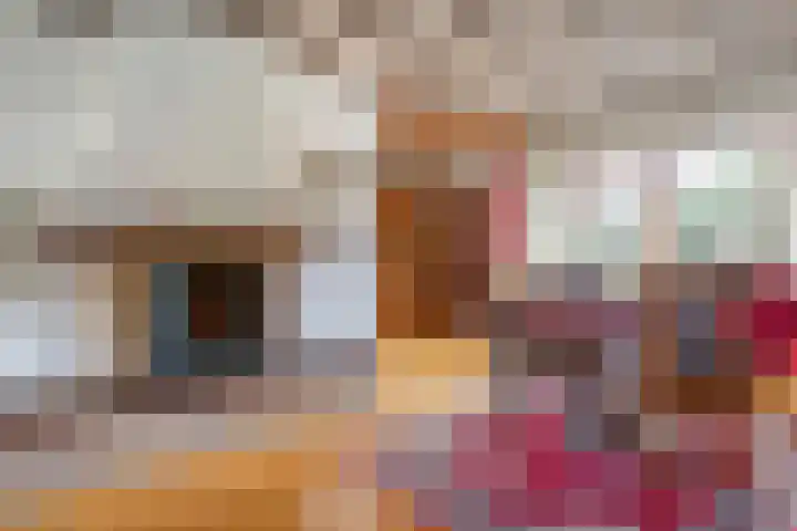 de Karekiet 24 Denekamp thumbnail 9