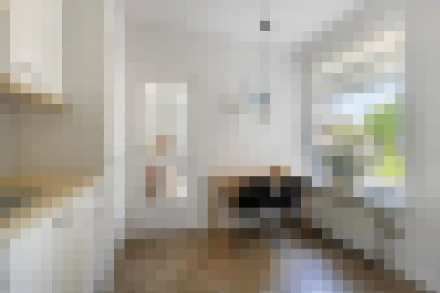De Karekiet 3 Budel thumbnail 11