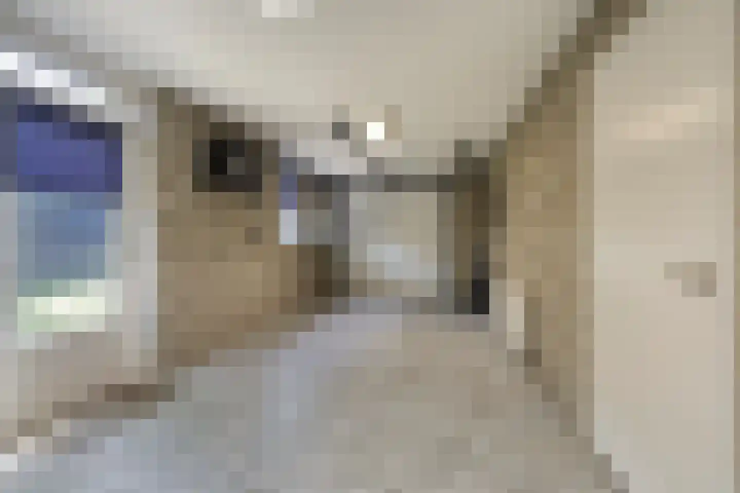 De Karekiet 3 Budel thumbnail 13