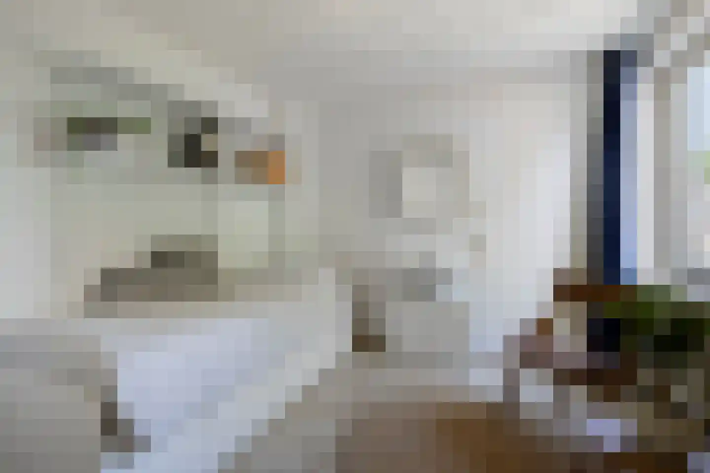De Karekiet 3 Budel thumbnail 23