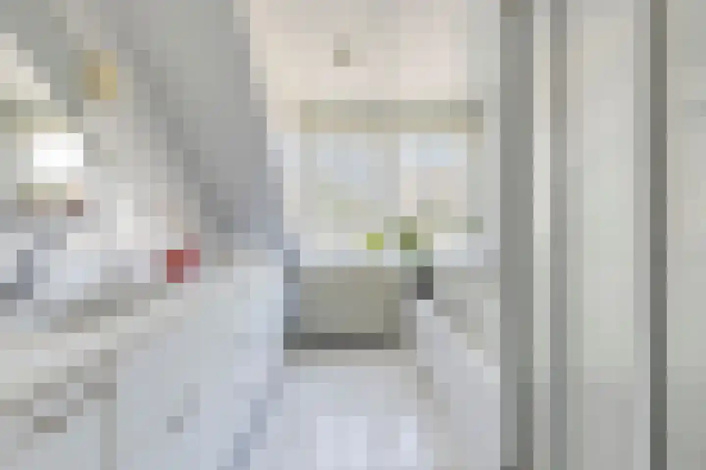De Karekiet 3 Budel thumbnail 25