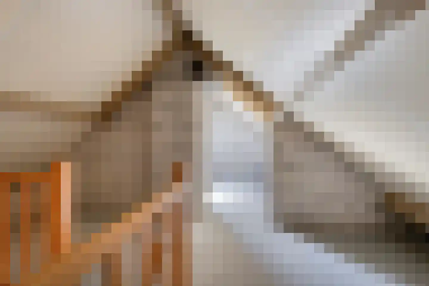 De Karekiet 3 Budel thumbnail 29