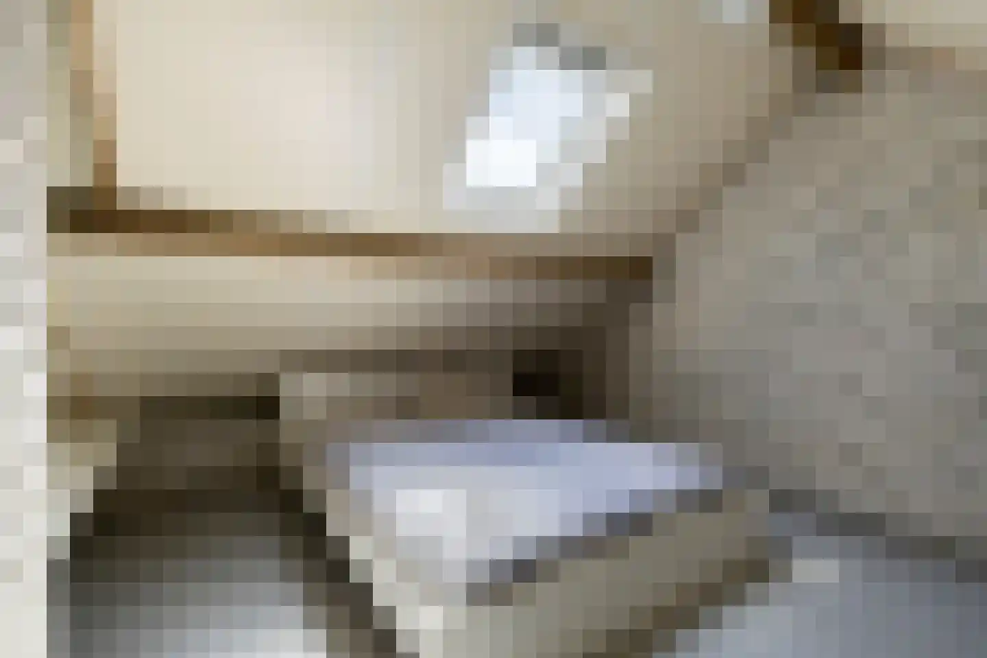 De Karekiet 3 Budel thumbnail 30