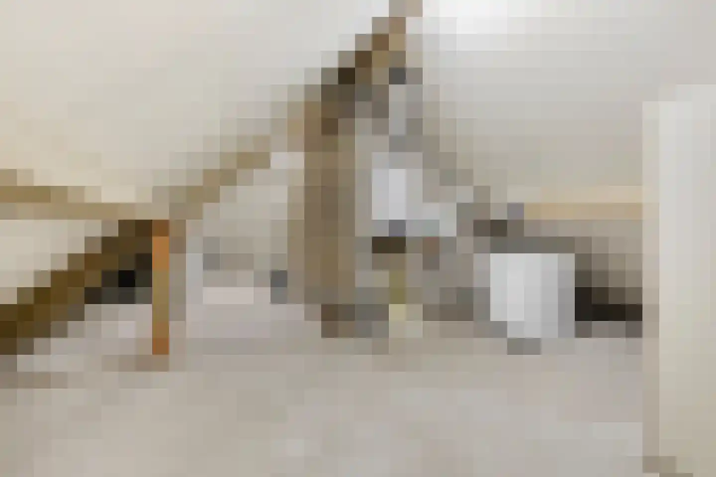 De Karekiet 3 Budel thumbnail 32