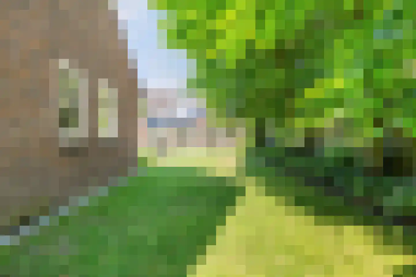 De Karekiet 3 Budel thumbnail 37